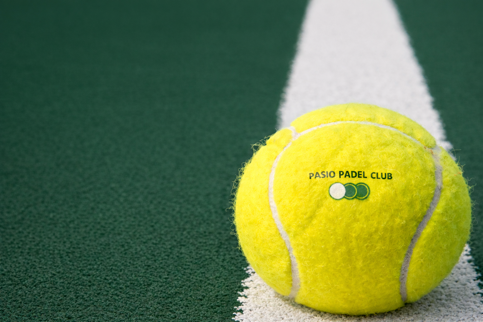 Terrain de padel professionnel